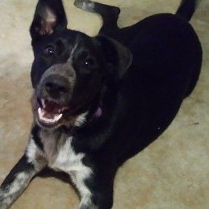 Meet your Posher, April